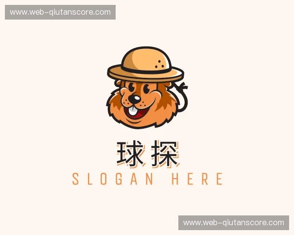 关于球探官方网站